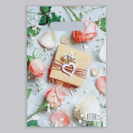 Package "Gift", polyethylene, with a cut pen, 20 x 30 cm, 30 μm-1
