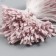 Stamens for flowers "gray-pink" set 360 pcs length 6 cm