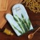 Mitten Dolyana "Tropical" color blue 26x16 cm, 100% p/e