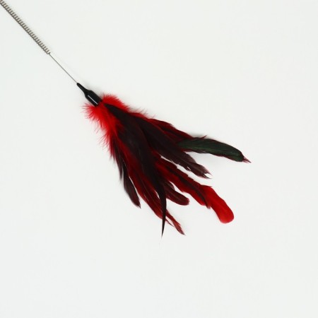 Drawing with feathers and 2 metal. tambourines and double pen (hard/flexible), 60 cm, mix-2