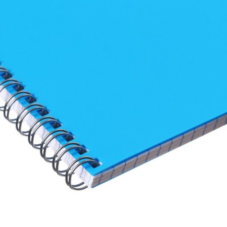 Notebook on the crest A4 48 sheets in the Calligrata cage is blue, plastic cover, offset unit-2