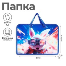 Folder with A4 handles, 340 x 245 x 75 mm, plastic, pens, Calligrata PT-14 