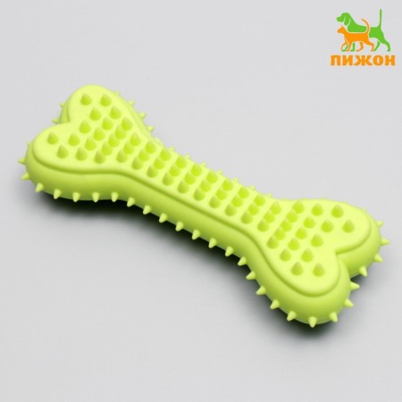 Chewing toy plow "Bone for massage", 11 x 4 x 2 cm, salad