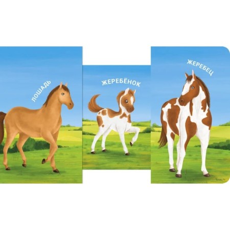 Books - gate valves. Mom, dad and... pets-3