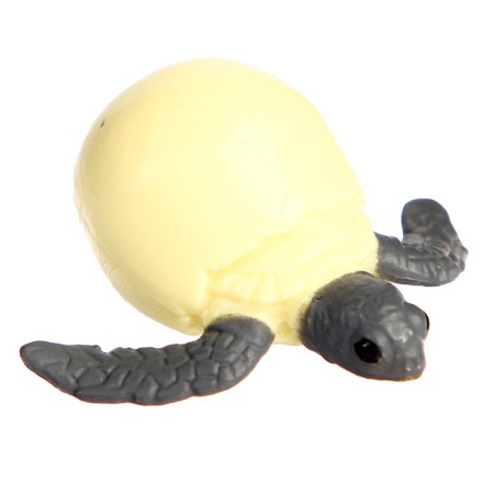 Training set "Stages of development of sea turtles" 4 figures-3