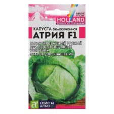 Cabbage seeds of white atria, F1, 12 pcs.