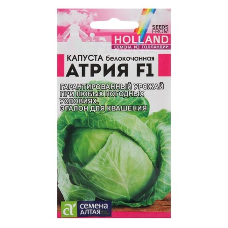 Cabbage seeds of white atria, F1, 12 pcs.