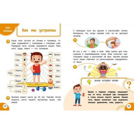 My first discoveries book: for children from 3 years old. Malanki T.G.-8