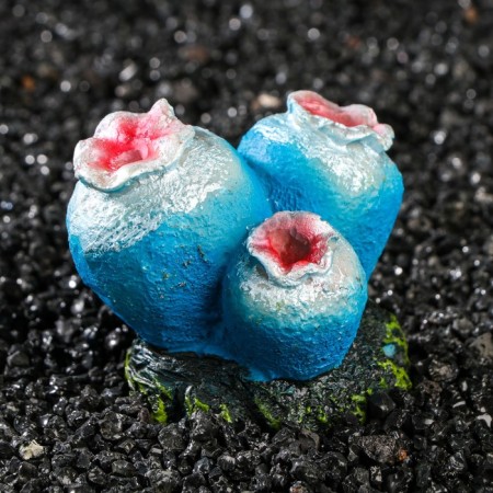 Decor for the Aquarium "Coral", 6.5 x 4.5 x 5.5 cm