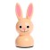Developing set "Rabbit in the house", 3+