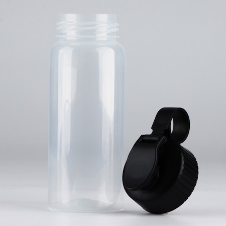 Water bottle "View 1", 450 ml-1