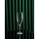 A set of glasses for champagne "Magnolia", 6 pcs, 210 ml