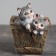 Figure Kashpo "Box with kittens" 16x18x20cm