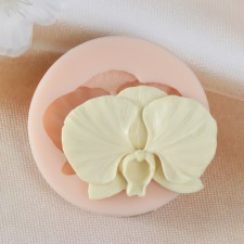 Mold Silicon 