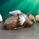 Piggy bank "Pesik Angel" 21x12cm, Bonza with silver