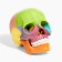 Mettle of the "Human Skull" multi -colored collapsible, 14*10*11cm