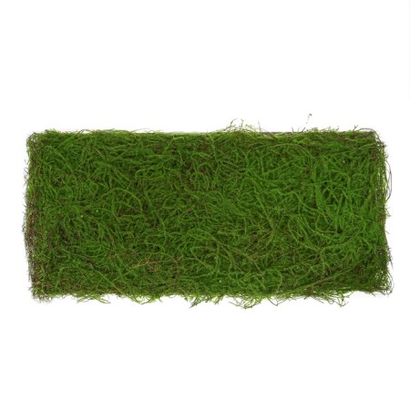 Decorative panel, 90 × 40 cm, "Paporotnik", Greengo-10