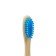 Bamboo denture hard in the box, blue
