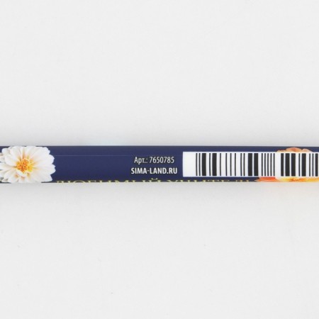Pen with a cap and applying Soft-Touch "beloved teacher", blue paste 0.7 mm-3