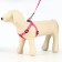 Kapron "Bones and Paws" kit, leash 120 x 1.5 cm, og 30-44 cm, pink