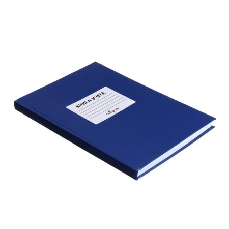 Book of accounting, 144 sheets, boumvinyl cover, offset block, cage, blue color, sticker-1