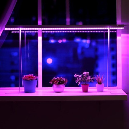 LED phytoslight, 14 watts, 900 mm, IP40, 220 V, full -spectral, stand 500mm stand