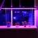 LED phytoslight, 14 watts, 900 mm, IP40, 220 V, full -spectral, stand 500mm stand