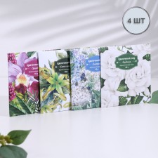 Aromasash 