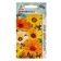 Seeds Dimorphoteus Rainbow 0.1g*
