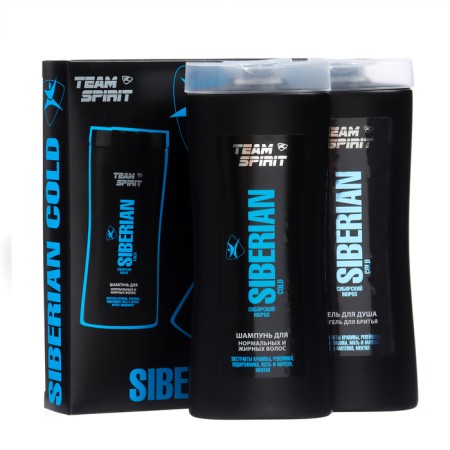 Gift set of male Team Spirit: shampoo, 250 ml + shower gel, 250 ml