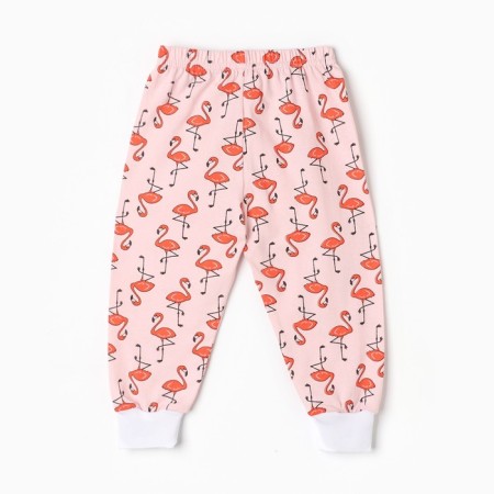 Kit (blouse, pants), peach/flamingos color, height 68 cm-7
