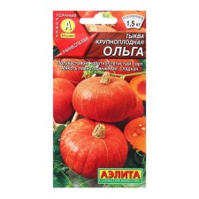 Seeds of pumpkin large -fruited olga ts/n 2g