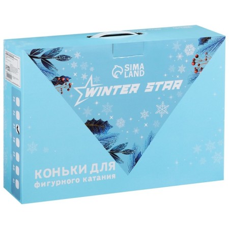 Figure skates Winter Star "Snowflake", p. 37-10
