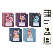 A set of notebooks of 10 pieces, 18 sheets in the Calligrata cage 