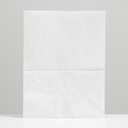 Craft package Paper Pack, rectangular bottom 26 x 15 x 34 cm 70 g/m2, set 20 pcs-1