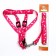 Kapron "Bones and Paws" kit, leash 120 x 1.5 cm, og 30-44 cm, pink
