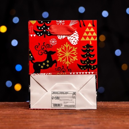 Laminated "New Year's Entry" package 11.5 x 14.5 x 6 cm-1