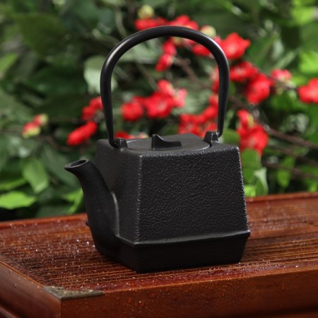The teapot is a cast -iron shade “Boken. Ethno ", 700 ml, with sieve, with enameled coating, black color
