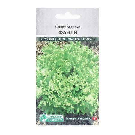 Seeds Batavia Fanley, 15 pcs
