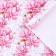Glossy packaging paper “Flowers on the newspaper”, 70 x 100 cm