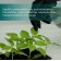 Cassette for growing seedlings, 200 cells, 7 ml, of plastic, black, 55 × 28 × 4 cm, Greengo