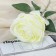 Artificial flowers "Ohara" 8.5x56 cm, white