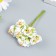 Flowers for decorating "Pion Lololipop" 1 bouquet = 6 colors white-green 9 cm