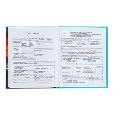 Diary 1-11 Grade Strange Land, 48 sheets, hard cover, matte lamination, selective varnish, offset block-10