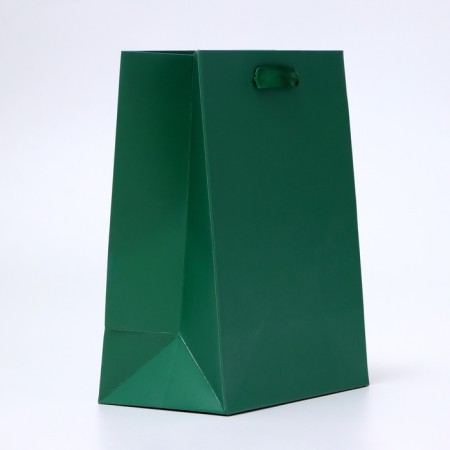Laminated Green Packet, 18 x 23 x 10 cm-3