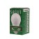 LED LED SAFFIT SBG4505, G45, E27, 5 W, 230 V, 4000 K, 400 lm, 220 °, 81 x 45 mm