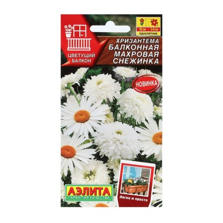Seeds of chrysanthemum flowers balcony "Terry Snowflake", 0.2 g