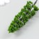Artificial plant for creativity plastic "Pine" 2.5x9.2 cm