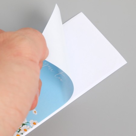 Stick Paper Gratitude "Chamomile and Sky" set of 50 pcs 10x5 cm-2