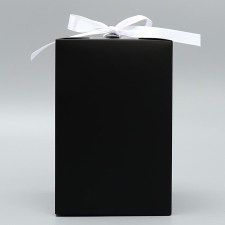 Gift folding box, packaging, “black”, 12 x 18 x 12 cm-2